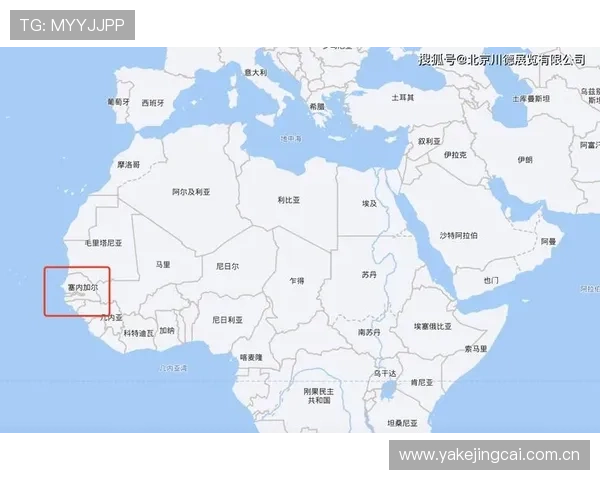 世界杯塞内加尔伊拉克赛果预测：比赛关键点、战术策略与胜负概率